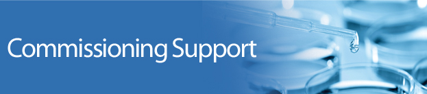 services_Commissioning-Support