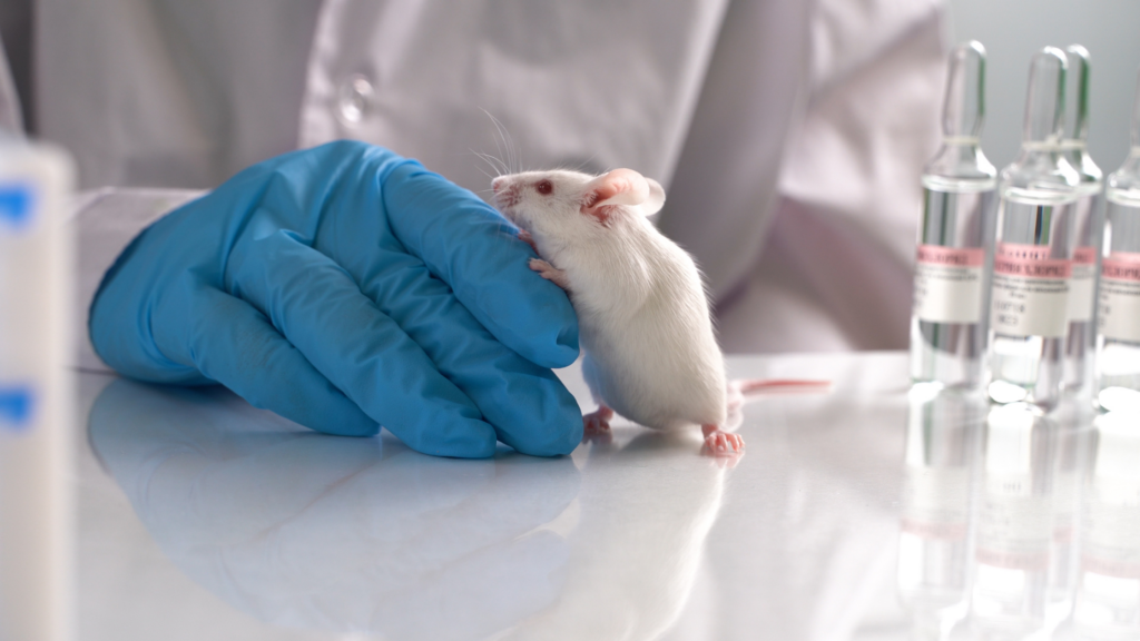 white lab mouse climbing on the gloved hand of a scientist